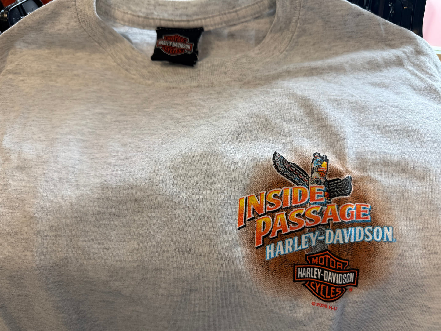Vintage Alaska Ash Grey Tee