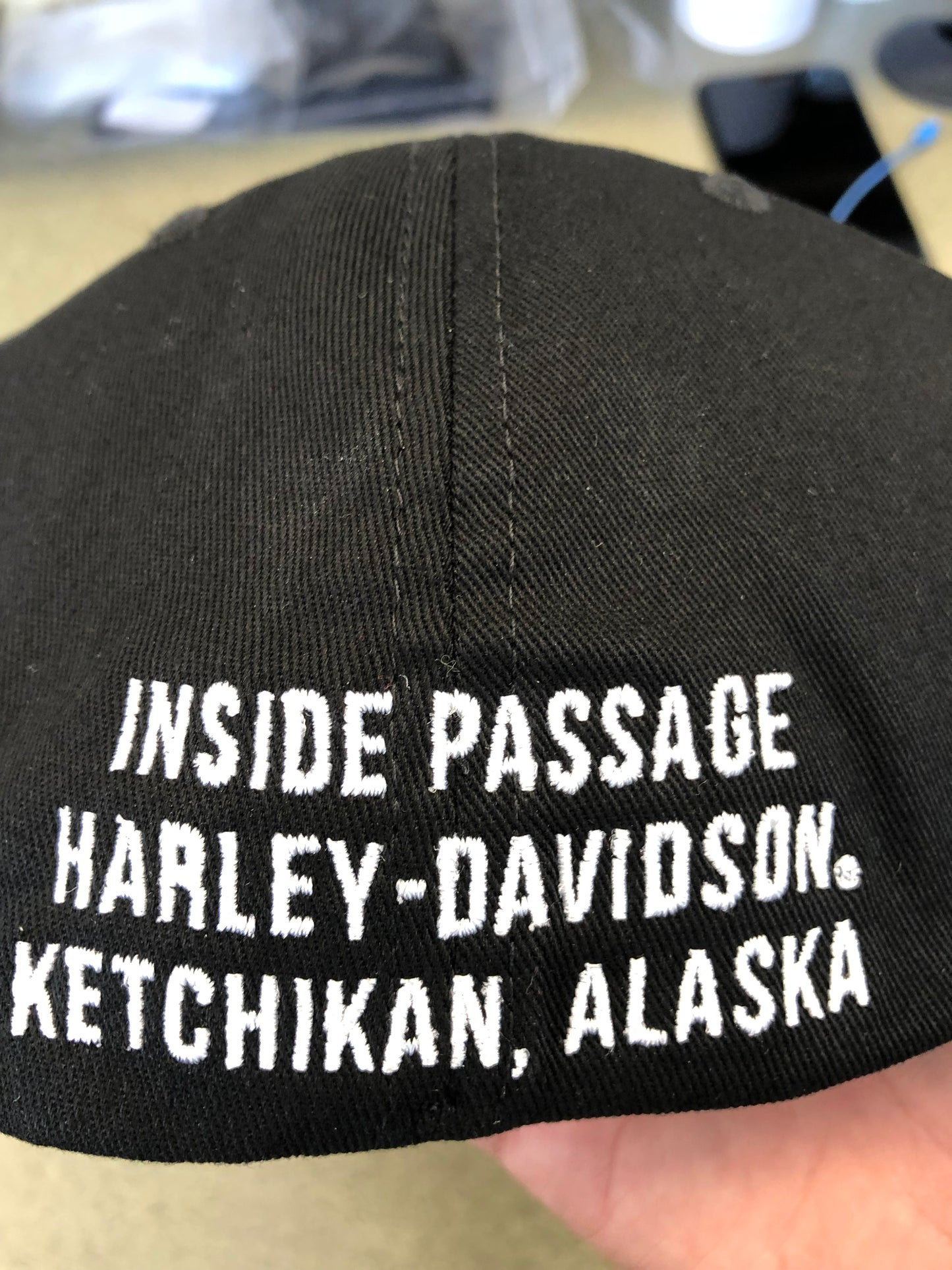 Fitted Eagle Head Ballcap
